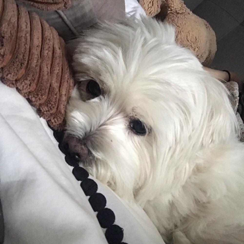 Meet your Posher, Juliette